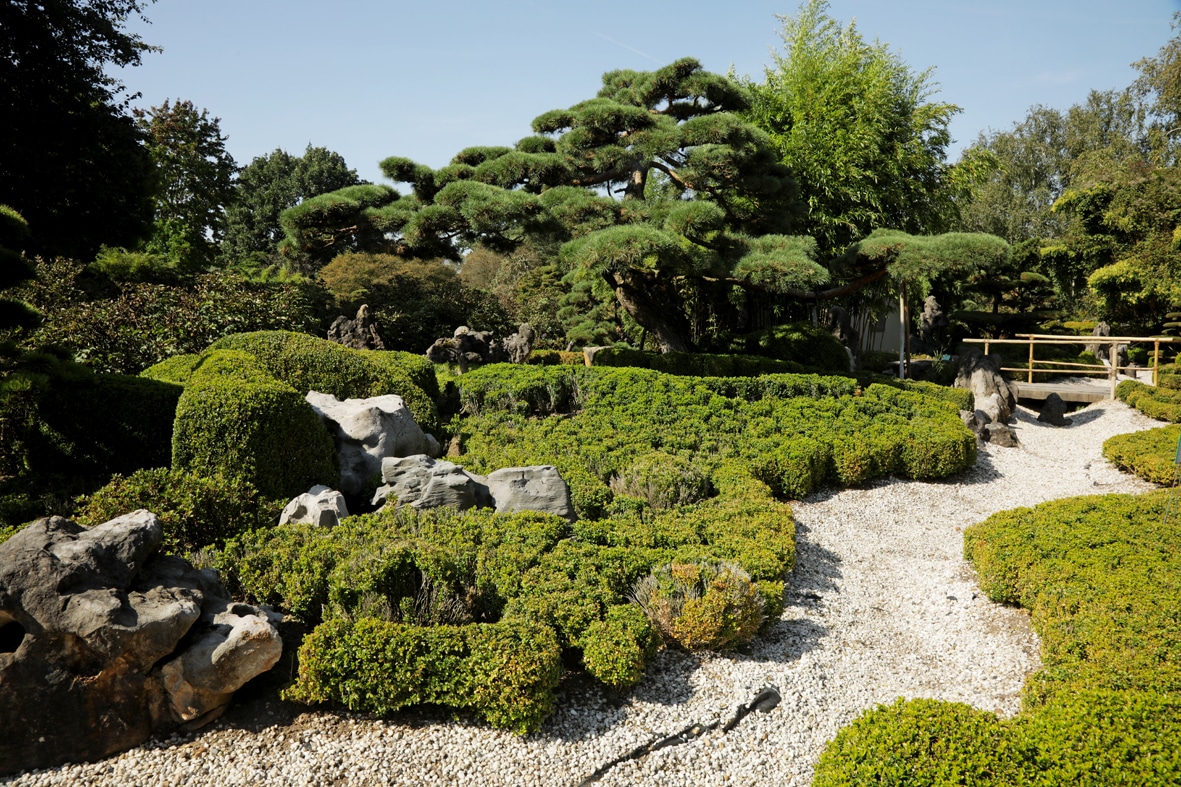 Gepflegte Gartenanlage